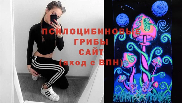 мяу мяу мука Ельня