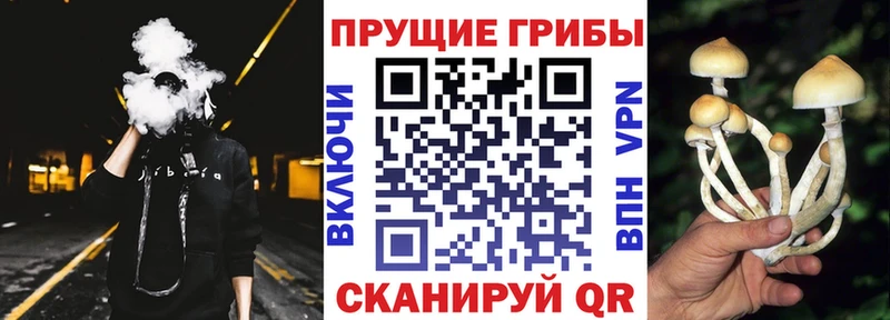 Псилоцибиновые грибы мухоморы  сколько стоит  Качканар 